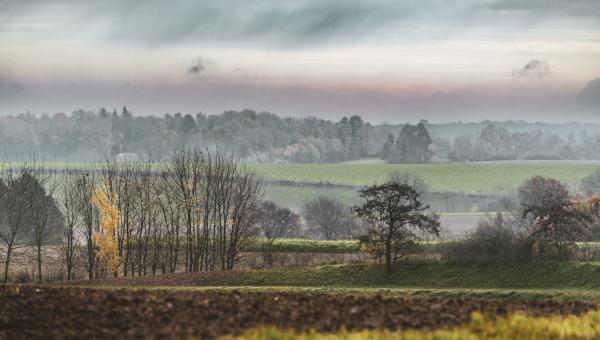Brabantse Wouden Herfst ©Lander Loeckx